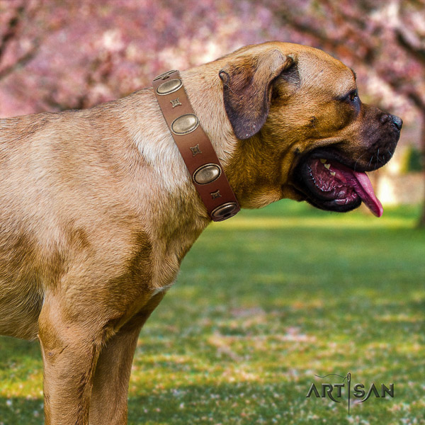 Cane Corso amazing leather dog collar for basic training