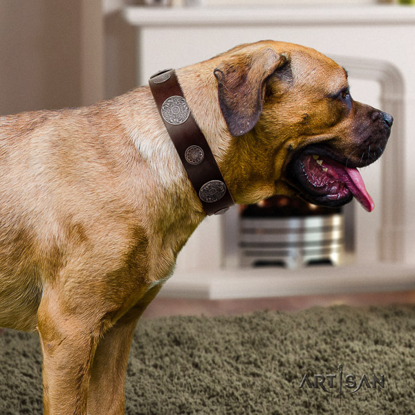 Cane Corso easy wearing full grain natural leather dog collar for daily walking