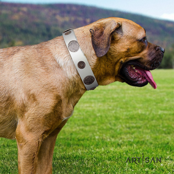 Cane Corso stylish full grain natural leather dog collar for stylish walking