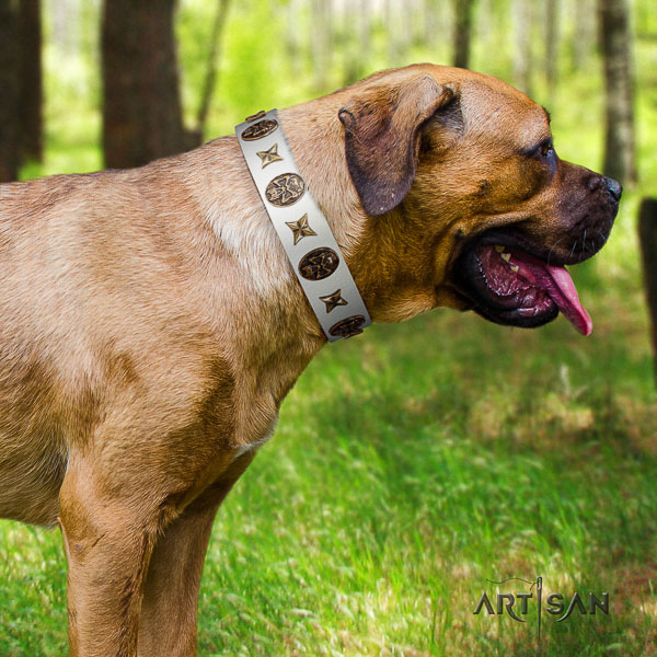 Cane Corso best quality leather dog collar for easy wearing