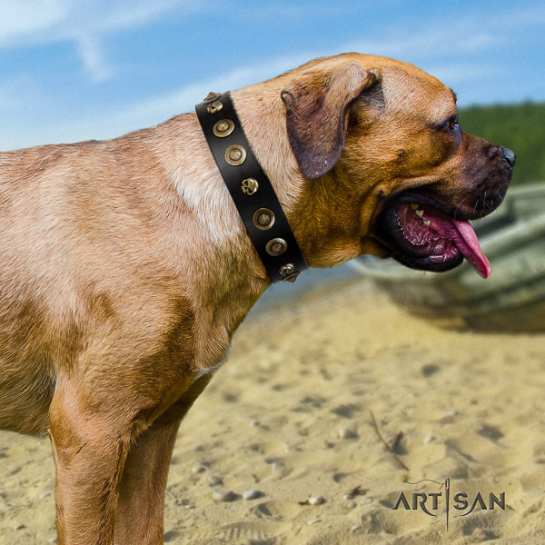 Cane Corso trendy genuine leather dog collar for handy use