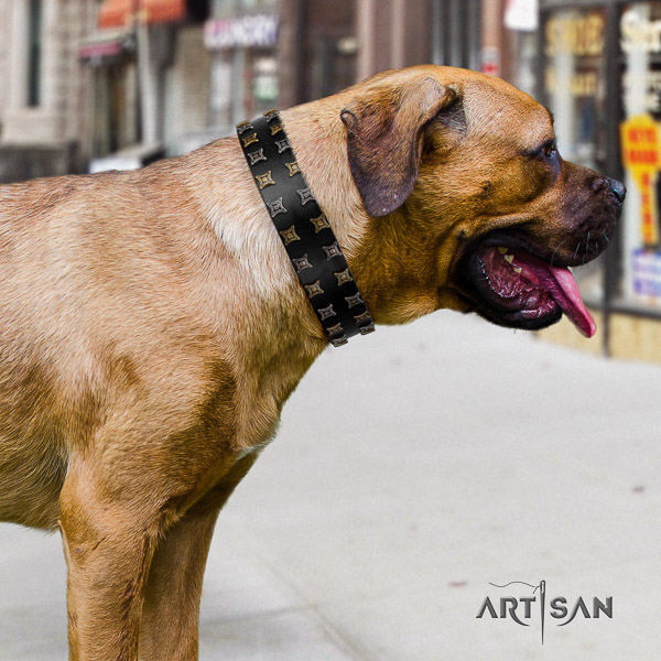 Cane Corso stunning full grain natural leather dog collar for fancy walking