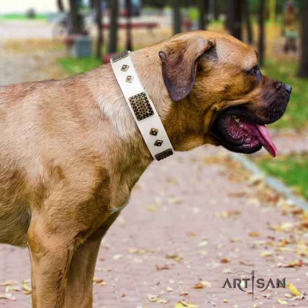 Cane Corso adorned collar made of soft natural genuine leather