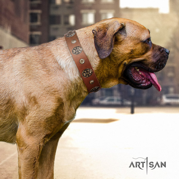 Cane Corso inimitable full grain leather dog collar for comfortable wearing