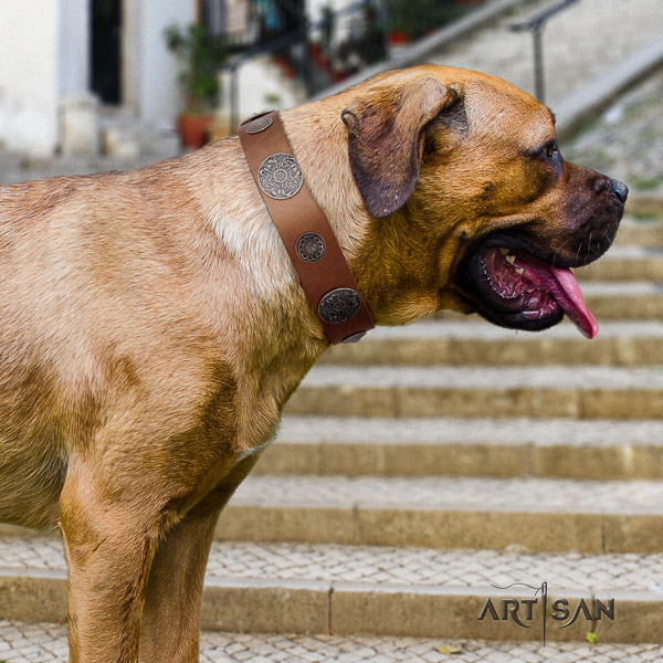 Cane Corso trendy leather dog collar for everyday walking