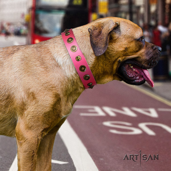 Cane Corso top notch leather dog collar for basic training