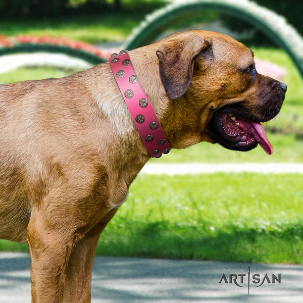 Cane Corso impressive genuine leather dog collar for fancy walking