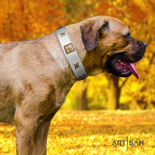Cane Corso awesome natural genuine leather dog collar for walking