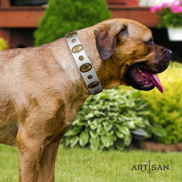 Cane Corso designer natural genuine leather dog collar for comfortable wearing