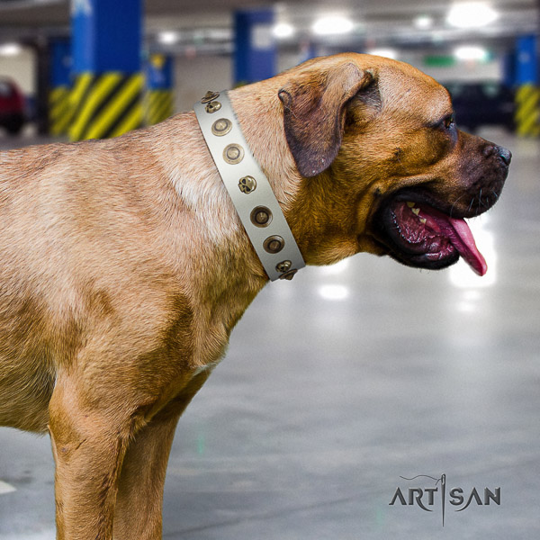 Cane Corso extraordinary leather dog collar for stylish walking