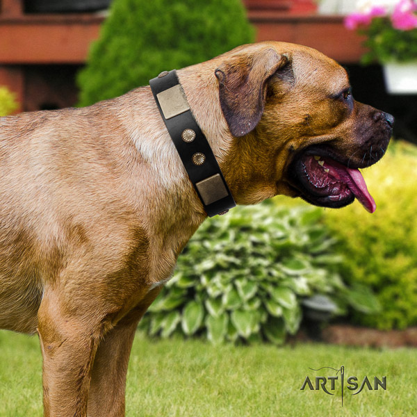Cane Corso comfortable full grain genuine leather dog collar for comfy wearing