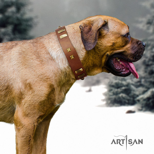 Cane Corso top quality full grain leather dog collar for everyday walking