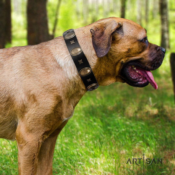 Cane Corso decorated full grain leather dog collar for comfy wearing