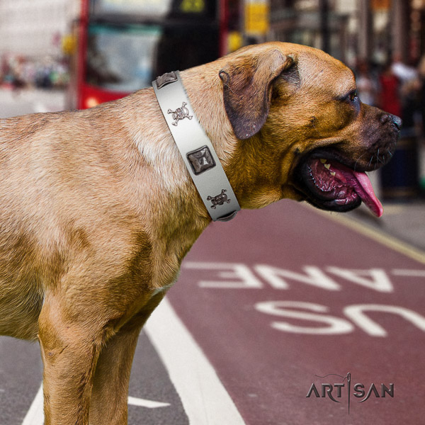 Cane Corso studded full grain genuine leather dog collar for easy wearing