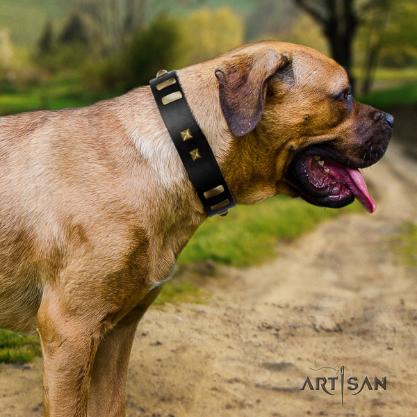 Cane Corso perfect fit genuine leather dog collar for easy wearing