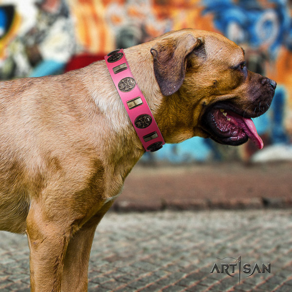 Cane Corso fine quality full grain natural leather dog collar for walking
