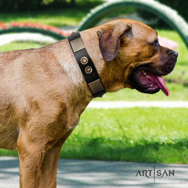 Cane Corso stylish genuine leather dog collar for easy wearing
