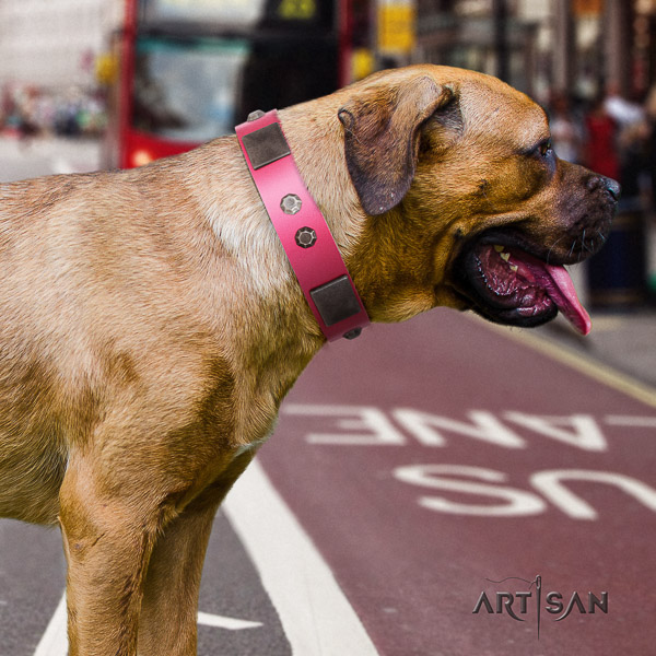 Cane Corso best quality full grain leather dog collar for walking