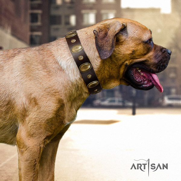 Cane Corso fine quality natural genuine leather dog collar for basic training