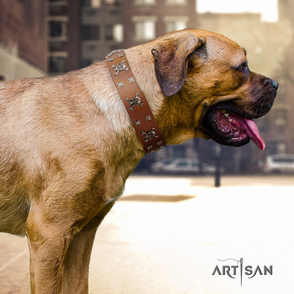 Cane Corso fashionable full grain natural leather dog collar for easy wearing