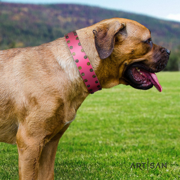 Cane Corso exceptional genuine leather dog collar for daily use