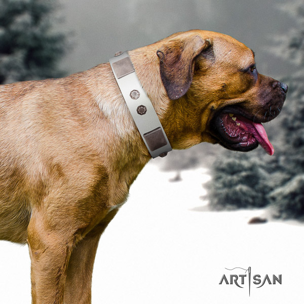 Cane Corso easy to adjust full grain leather dog collar for easy wearing