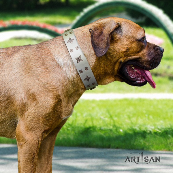 Cane Corso easy to adjust full grain natural leather dog collar for fancy walking