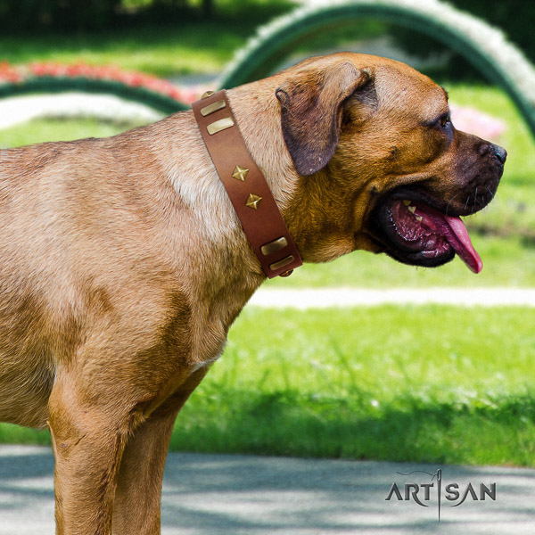 Cane Corso best quality leather dog collar for comfy wearing