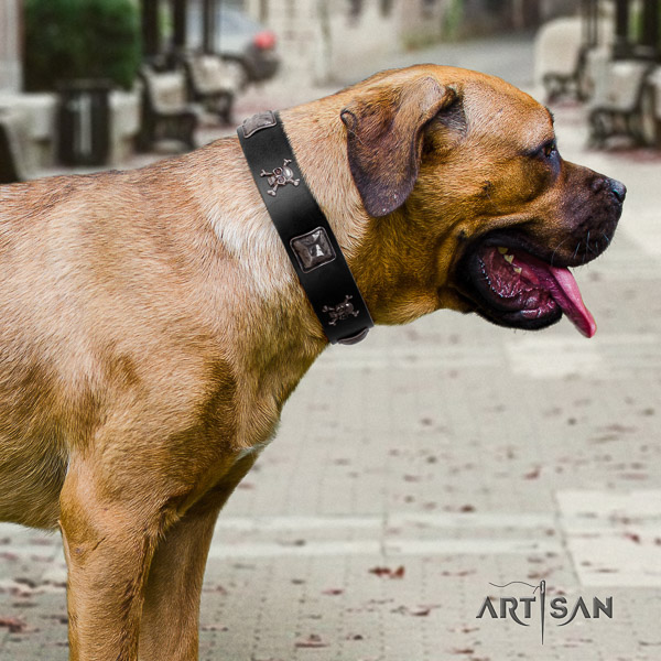 Cane Corso convenient full grain leather dog collar for walking