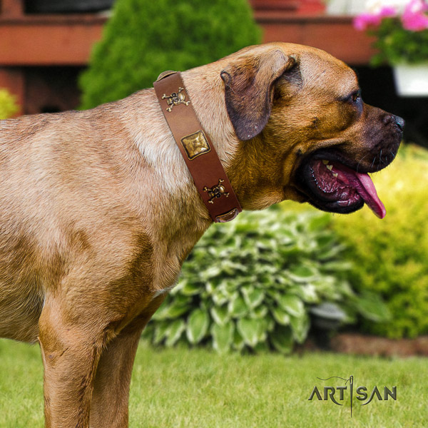 Cane Corso stylish design leather dog collar for stylish walking