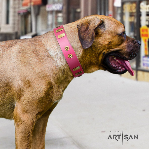 Cane Corso top notch leather dog collar for fancy walking