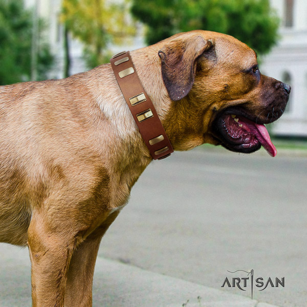 Cane Corso adjustable leather dog collar for daily walking