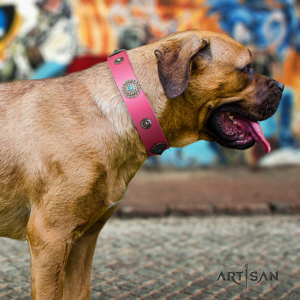 Cane Corso exquisite full grain natural leather dog collar for everyday use