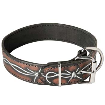 Cane Corso fashion dog collar with reliable fittings