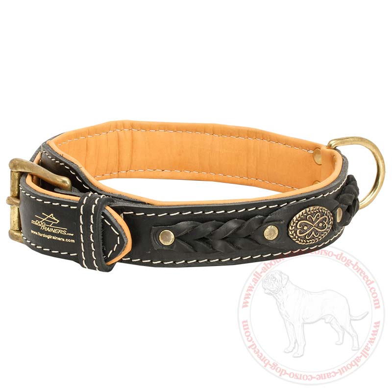 Buy Designer Leather Cane Corso Collar | Nappa Padded