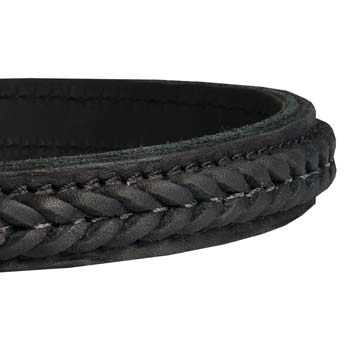 Stylish leather canine collar