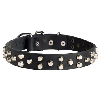 Cane Corso leather dog collar with silver studs