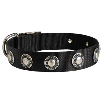 Cane Corso Nylon Dog Collar with Conchoes