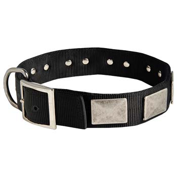 Cane Corso fashion nylon dog collar with massive plates