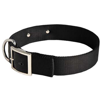 Cane Corso nylon dog collar with rust-proof buckle