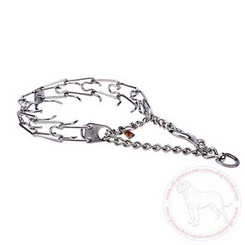 Cane Corso pinch collar with snap hook