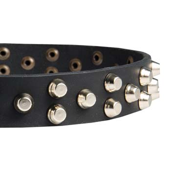 Cane Corso breed leather dog collar studded