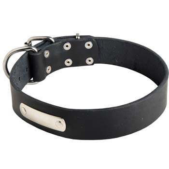 Cane Corso training dog collar with id tag