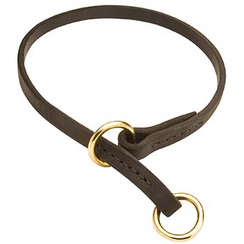 Leathr Choke Collar for Dog Behavior Correction