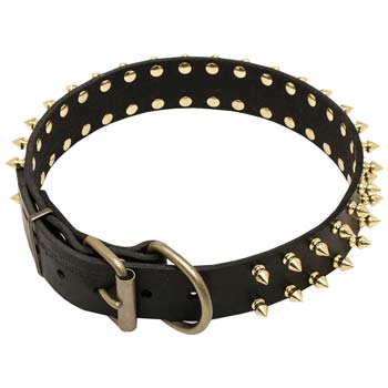 Cane Corso Spiked Collar for Fashion Walking
