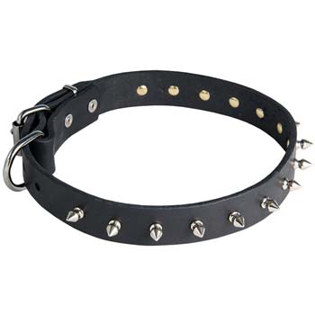 Elegant Leather Collar with Soft Edges