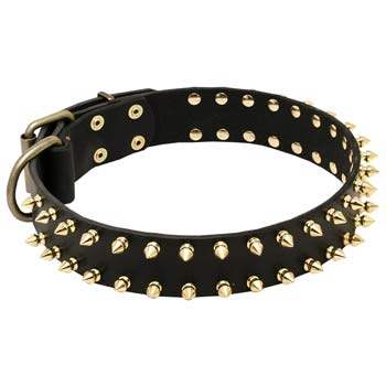 Fashion Leather Collar Spiked