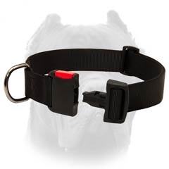 Easy Adjustable Nylon Collar for Cane Corso