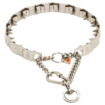 Cane Corso Stainless Steel Prong Collar of German Quality