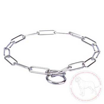 Choke dog collar for Cane Corso's behavior correction
